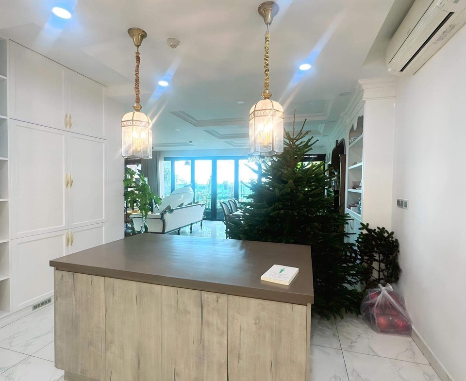Bán Skymansion tầng thấp Feliz En Vista